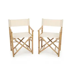 Fauteuil cinéaste